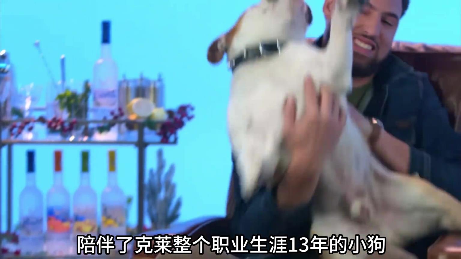陪伴克萊13年的小狗去世了，不敢相信克萊得多么傷心